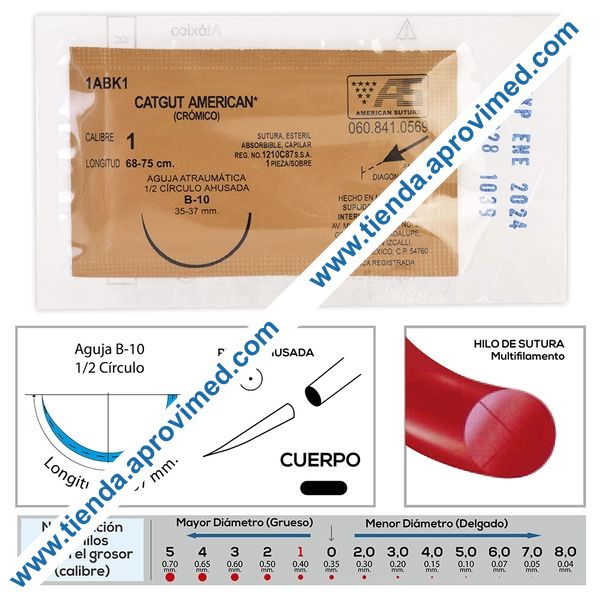 Sutura absorbible crómica para cirugía — Calibre 1 con aguja B-10